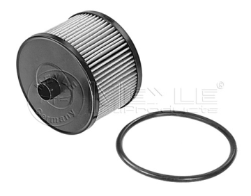 Palivový filtr 2.0TDCI, Scudo, Focus, Galaxy, Kuga, S-Max, Peugeot, Fiat